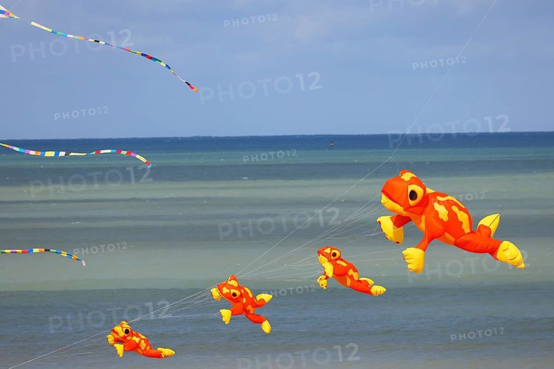 Kite festival on the beach, international kite festival, kites in the shape of frogs, Dieppe, Normandy, France