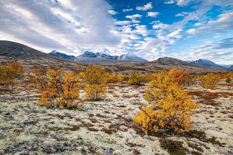 Autumn landscape in Rondane National Park, mountains, Døråldalen, Norway