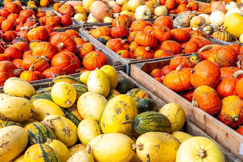 Various pumpkins, at a farm market, in autumn