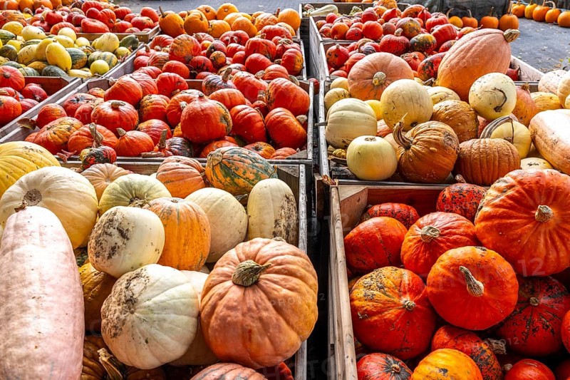 Various pumpkins, at a farm market, in autumn