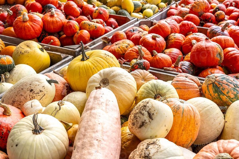 Various pumpkins, at a farm market, in autumn