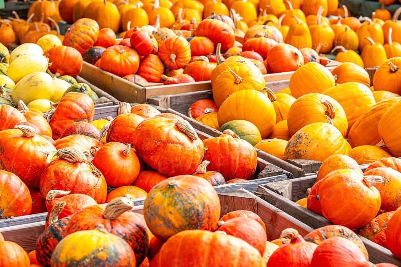 Various pumpkins, at a farm market, in autumn