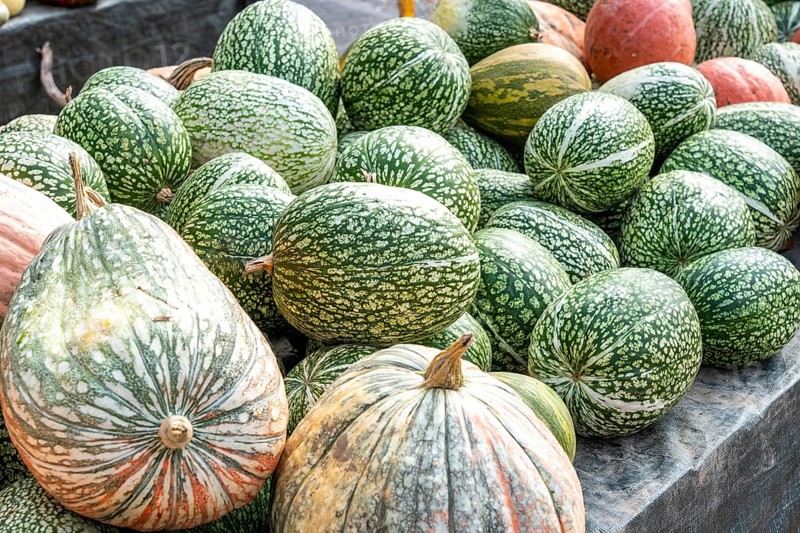 Fig leaf pumpkin, Curcurbitaficifolia, pumpkins, at a farm market, in autumn