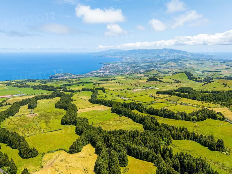 Lush Green Hills with Pasturelands and Trees. Atlantic Ocean. Azores, Sao Miguel Island. Portugal. Aerial Drone Shot