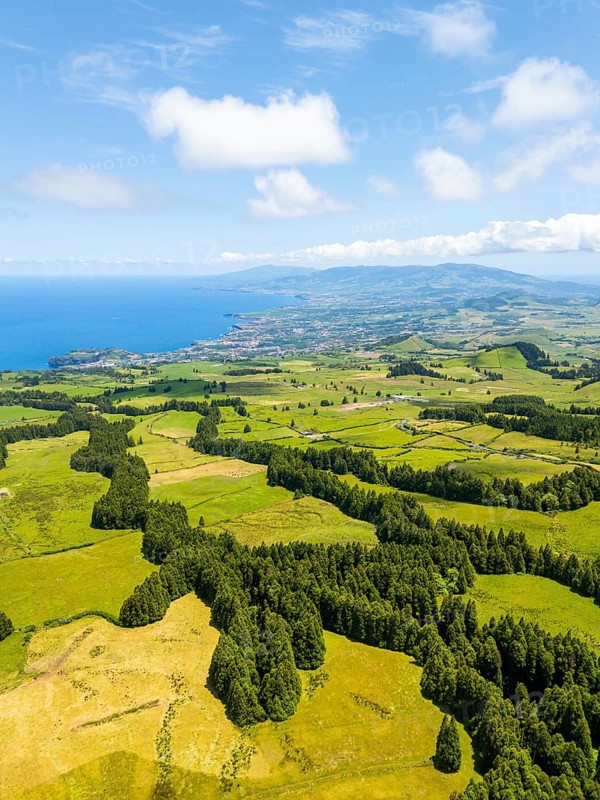 Green Lush Hills with Pasturelands and Trees. Atlantic Ocean. Azores, Sao Miguel Island. Portugal. Aerial View