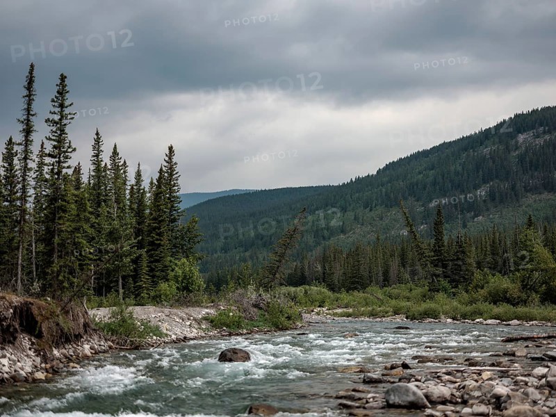 A flowing Elbow River bordered by dense forests and mountains under a cloudy sky within Bragg Creek Provincial Park, in Alberta, Canada, North America