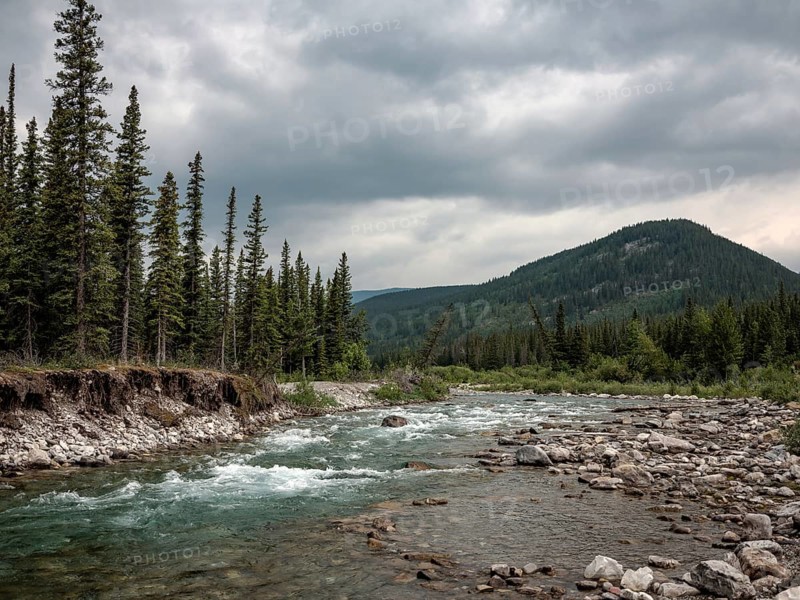 A rocky Elbow River flows between dense forests under an overcast sky in a mountainous region within Bragg Creek Provincial Park, in Alberta, Canada, North America