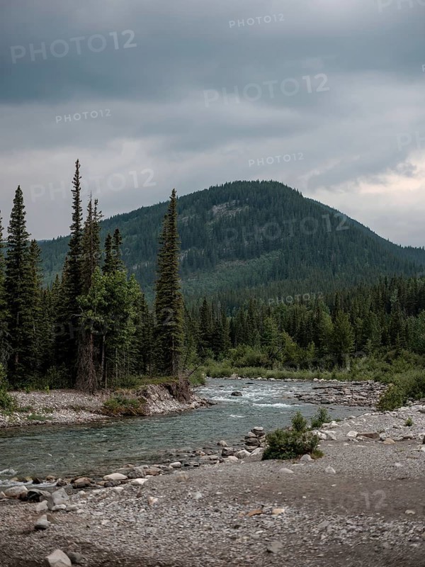 The Elbow River meanders through a dense evergreen forest beneath a cloudy sky within Bragg Creek Provincial Park, in Alberta, Canada, North America