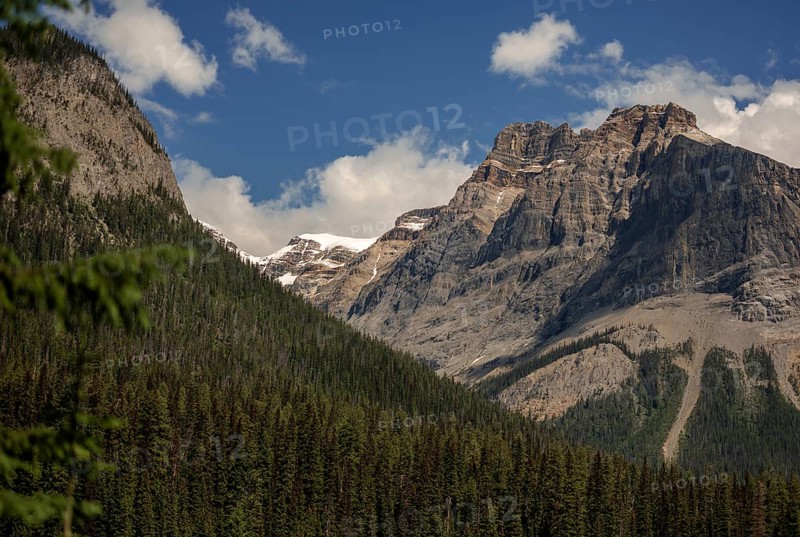The Canadian Rocky Mountains under a blue sky with clouds and dense forest within Yoho National Park in Alberta, Canada, North Canada