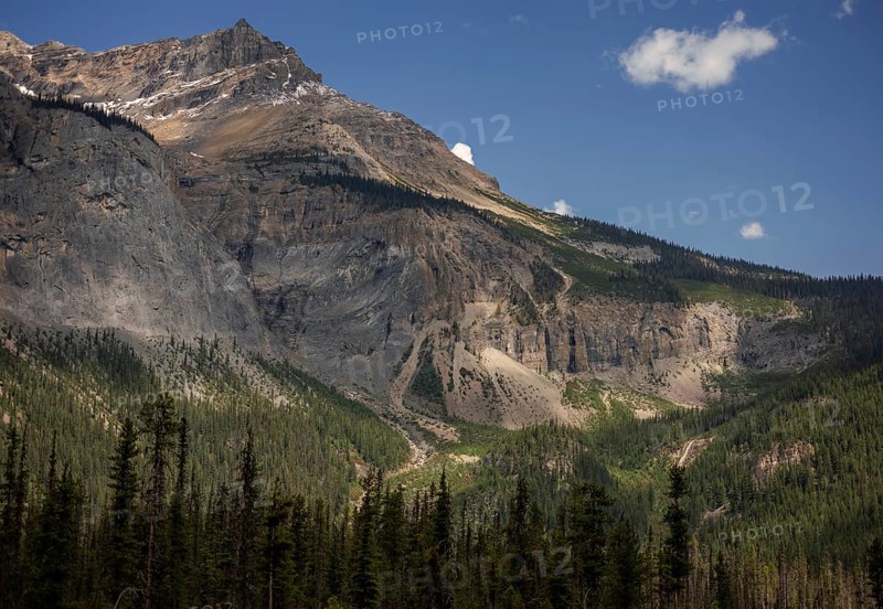 Expansive mountain of the Canadian Rocky Mountains and forest landscape under clear skies inside Yoho National Park, British Columbia, Canada, North America