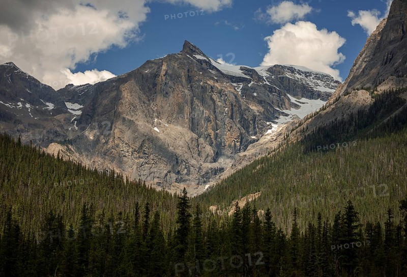 Rocky peaks of the Canadian Rocky Mountains under clear skies with dense forest below inside Yoho National Park, British Columbia, Canada, North America
