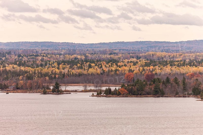 Autumn forest with yellow and orange trees bordering the Ottawa River under a cloudy sky in Ottawa, Ontario, Canada, North America