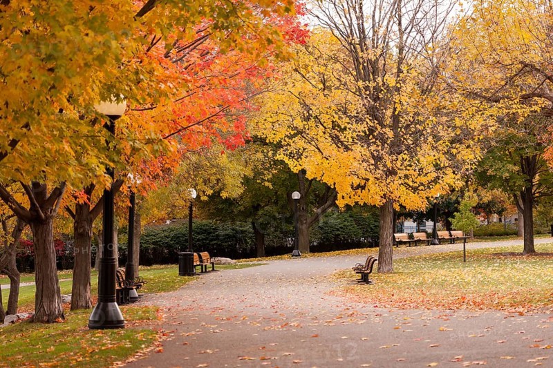 A serene park during autumn with vibrant foliage and empty benches along a paved path in Ottawa, Ontario, Canada, North America