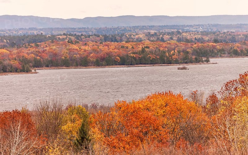 Vibrant autumn forest along the Ottawa River with distant hills under a cloudy sky in Ottawa, Ontario, Canada, North America