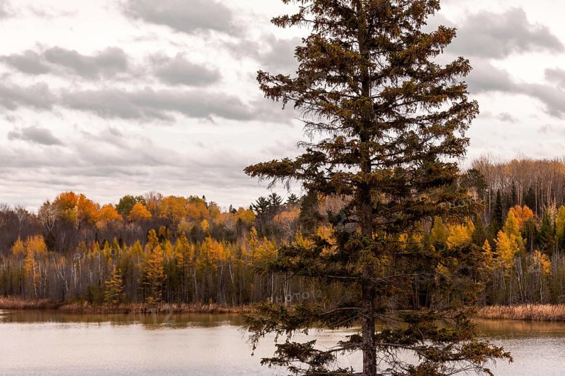 A serene lake scene with autumn trees and an overcast sky in Ottawa, Ontario, Canada, North America