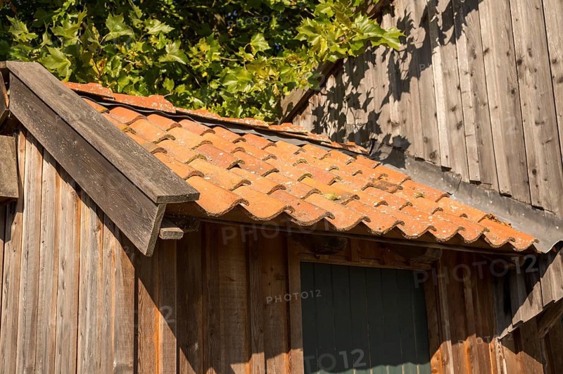 Borken, NRW, Germany, Rustic wooden shed featuring old terracotta roof tiles and green foliage above