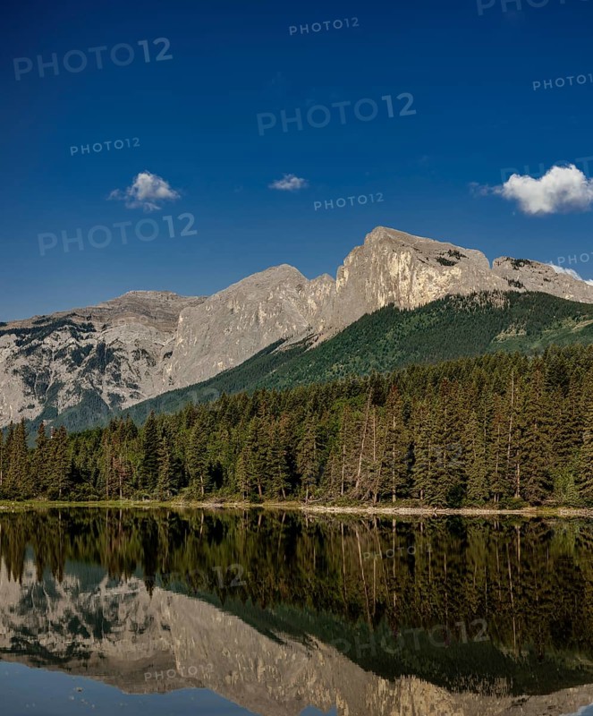 Tall mountains of the Canadian Rocky Mountains and trees reflecting in a serene lake under a clear sky near Canmore, Alberta, Canada, North America