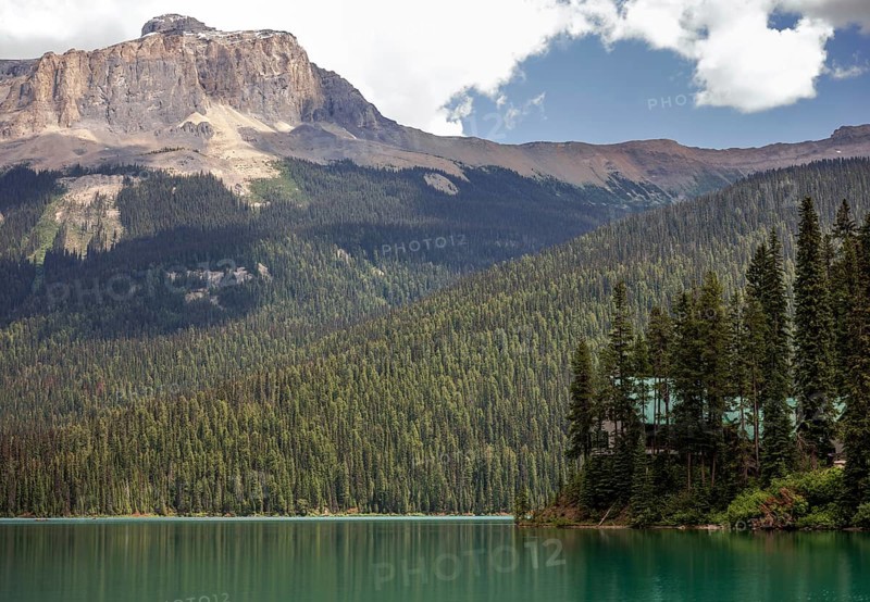 Forested Emerald Lake with the Canadian Rocky Mountains beneath a blue sky and scattered clouds inside Yoho National Park, British Columbia, Canada, North America