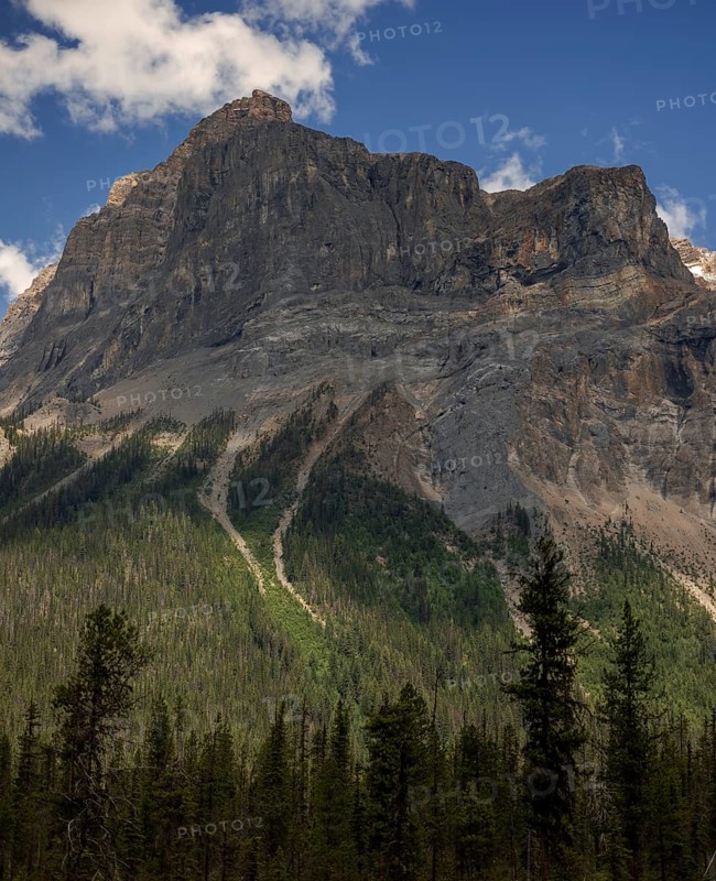 Steep rocky mountain peak of the Canadian Rocky Mountains with a forest at the base under a clear blue sky inside Yoho National Park, British Columbia, Canada, North America
