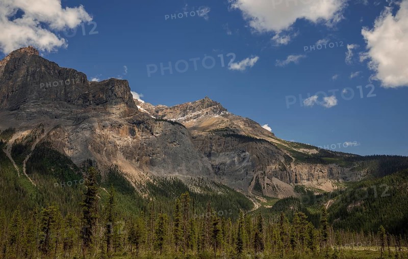 Majestic mountain landscape of the Canadian Rocky Mountains with rugged terrain and expansive forest inside Yoho National Park, British Columbia, Canada, North America