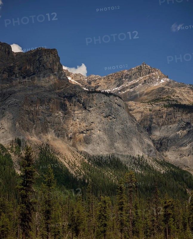 Mountain peaks of the Canadian Rocky Mountains with patches of snow and a forested base under a clear blue sky inside Yoho National Park, British Columbia, Canada, North America
