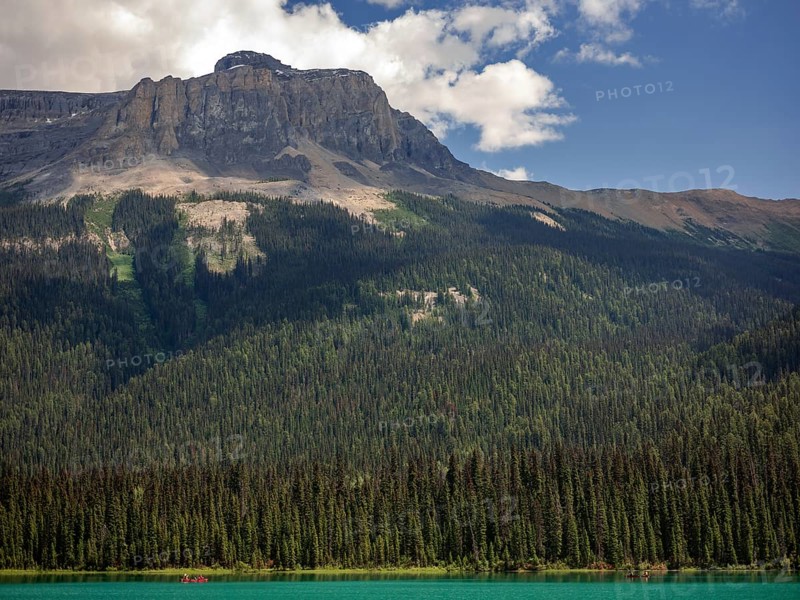 Serene landscape featuring a forest-lined Emerald Lake with the Canadian Rocky Mountains in the background inside Yoho National Park, British Columbia, Canada, North America