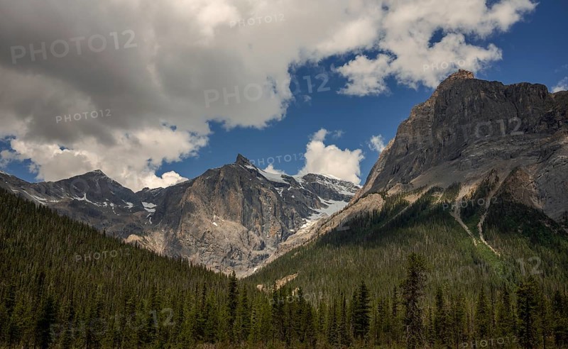 Dramatic mountain range of the Canadian Rocky Mountians under a cloudy sky with dense green forest in the foreground inside Yoho National Park, British Columbia, Canada, North America