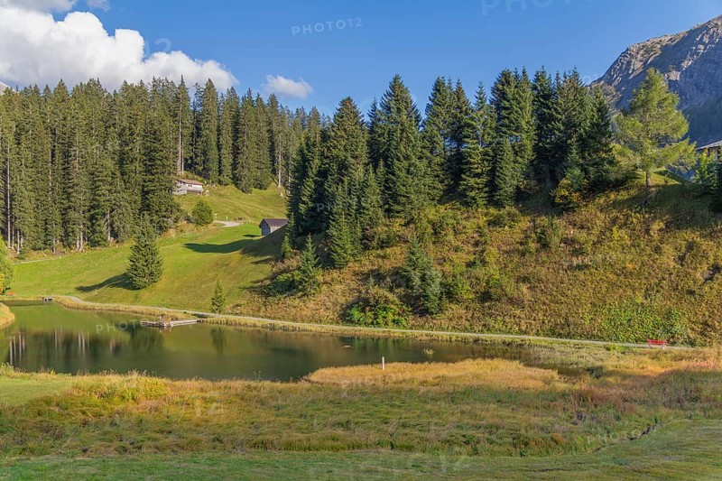 Idyllic scenery around Warth, a municipality in the district of Bregenz in the Austrian state of Vorarlberg