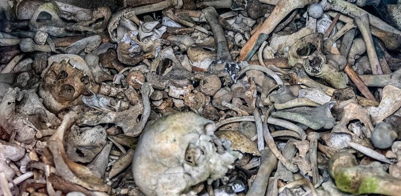 Lots of human bones from fallen soldiers seen at the Douaumont Ossuary, a memorial located near Verdun in France