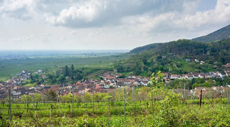 Scenery around Sankt Martin, a municipality in the Southern Wine Route area in Rhineland-Palatinate in Germany