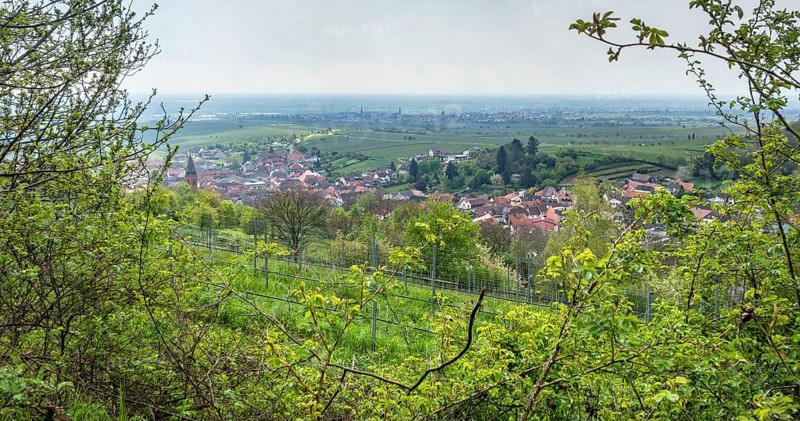 Scenery around Sankt Martin, a municipality in the Southern Wine Route area in Rhineland-Palatinate in Germany