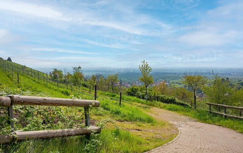 Scenery around Sankt Martin, a municipality in the Southern Wine Route area in Rhineland-Palatinate in Germany