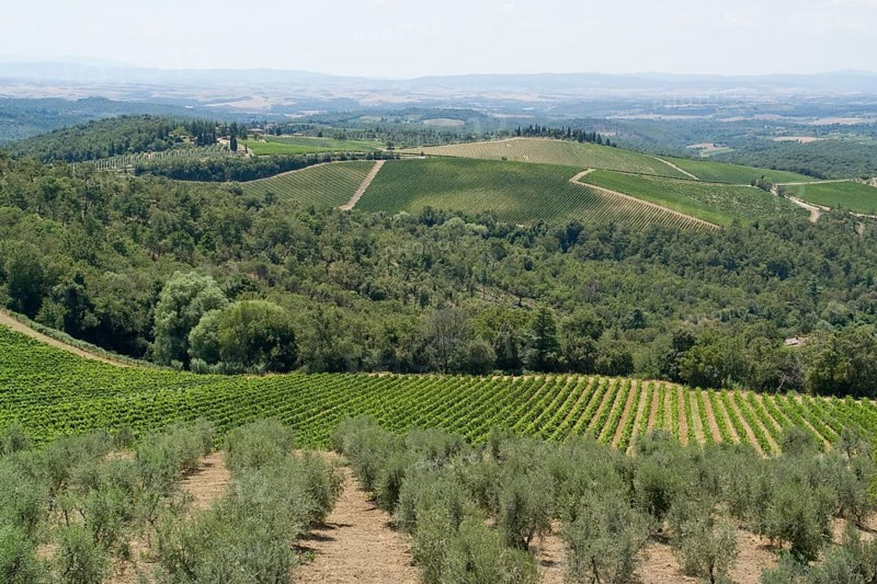Scenery around Gaiole near Castle of Brolio in the Chianti region of Tuscany in Central Italy