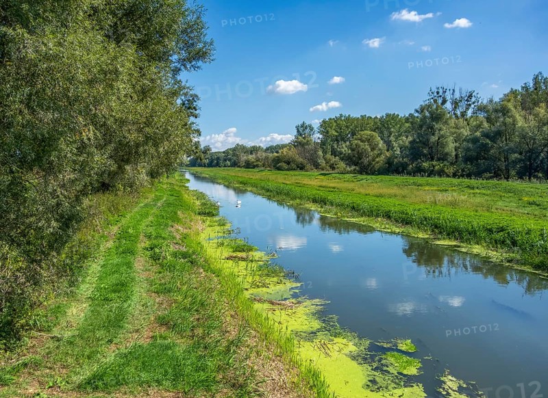Scenery at the Einserkanal near the famous Bridge at Andau at the border between Austria and Hungary
