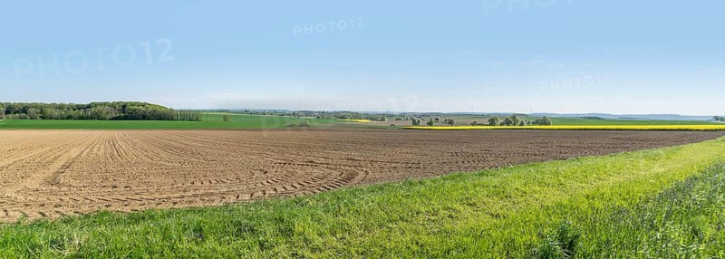 Sunny illuminated idyllic rural springtime scenery in Hohenlohe, a district in Southern Germany