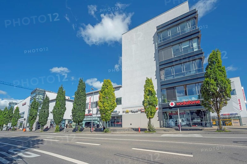 Blue sky over the Forum Allgäu with columnar oaks (Quercus robur Fastigiata), Bahnhofstraße, Kempten, Allgäu, Swabia, Germany