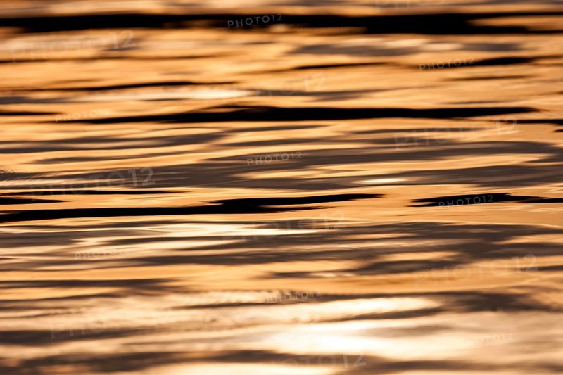 Golden tones of the sunset reflect on the calm water, creating a serene atmosphere in Muskoka, Ontario, Canada, North America
