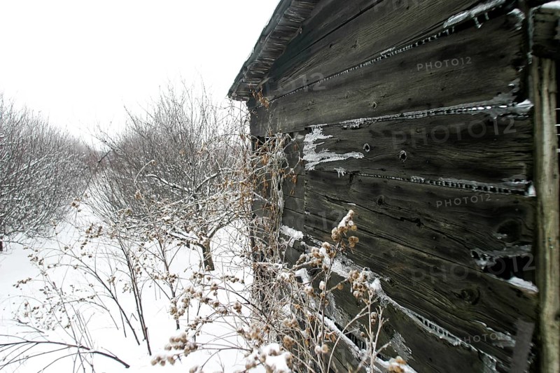 Close view of weathered wooden cabin amid a snowy landscape, atmospheric cold in London, Ontario, Canada, North America