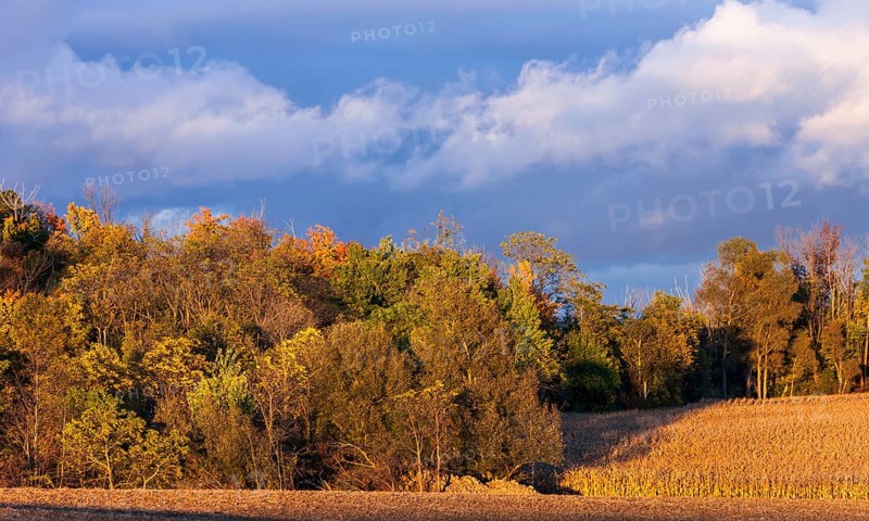 Colorful autumn trees under a dramatic cloudy sky in St. Thomas, Ontario, Canada, North America