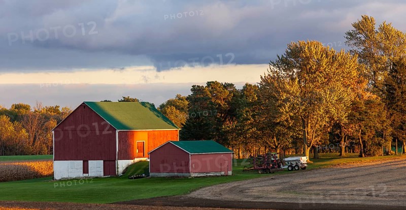 Red barn and trees glow in the golden sunset light in St. Thomas, Ontario, Canada, North America