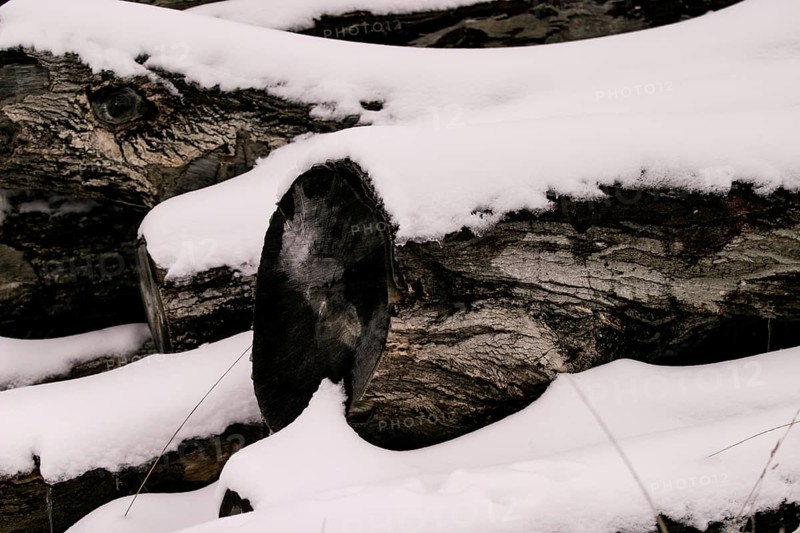 Close-up of snow-covered logs showing the texture of wood in London, Ontario, Canada, North America