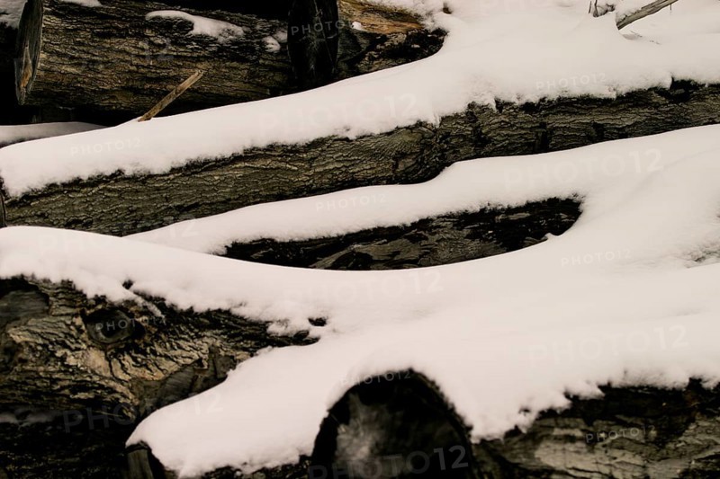 Snow-covered logs lie piled in a winter scene in London, Ontario, Canada, North America