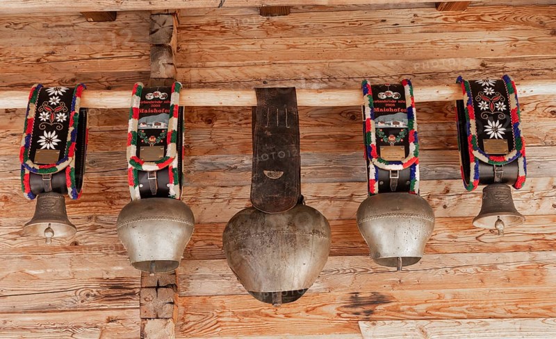 Cow, cowbells and bells, traditional bells, mountain pasture, cultural heritage