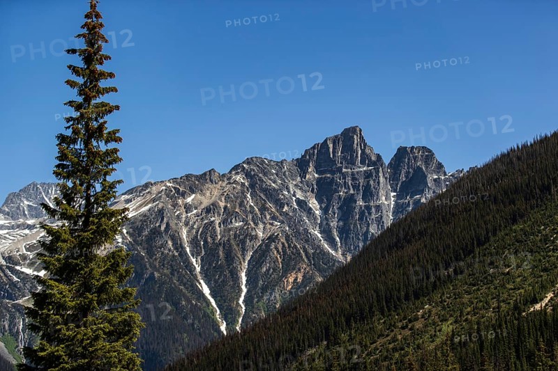Mountain peaks with patches of snow rising above a rich evergreen forest as viewed along the Trans Canada Highway in British Columbia, Canada, North America