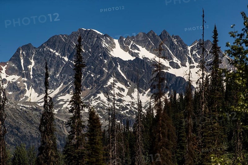 Jagged mountain range with patches of snow above a dense forest near Revelstoke, British Columbia, Canada, North America