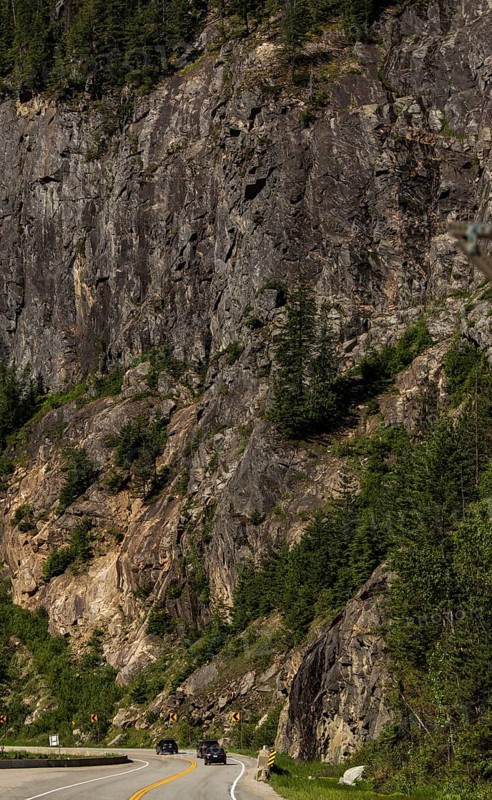 Winding road through a rugged mountainous area with dense forest in Revelstoke, British Columbia, Canada, North America