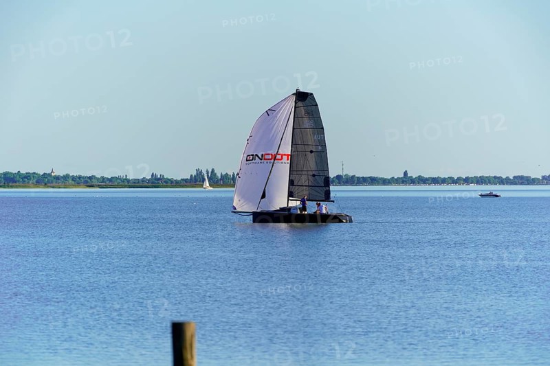 Lake Neusiedl, Burgenland, Austria, Europe, A catamaran with large sails sails on a calm lake with a wide view of the landscape, Sailing boats on Lake Neusiedl