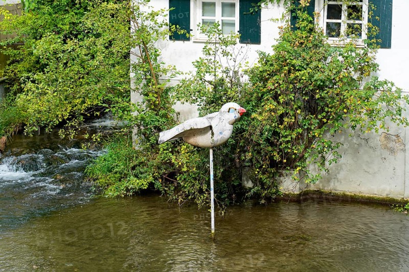 The picturesque fishermen's quarter in Ulm with its beautiful half-timbered houses on the Blau river, bird sculpture with red beak in the water in front of an overgrown house, Ulm, Germany