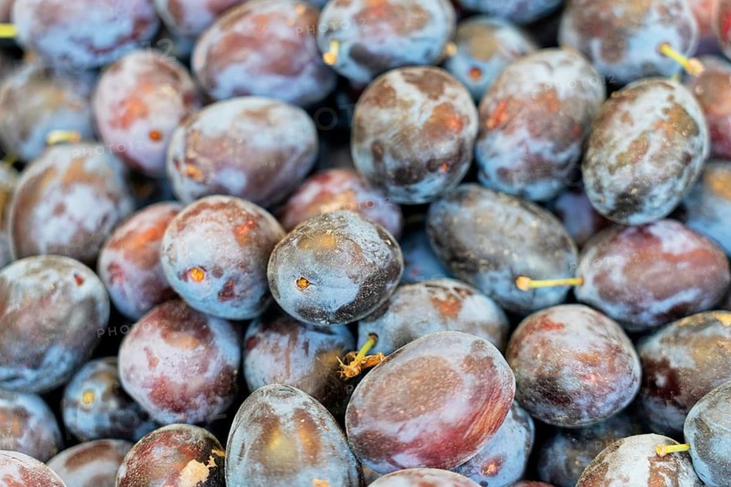 Farmer's market on the Münsterplatz, stall, Ulm, Baden-Württemberg, Germany, Europe, close-up of fresh purple plums