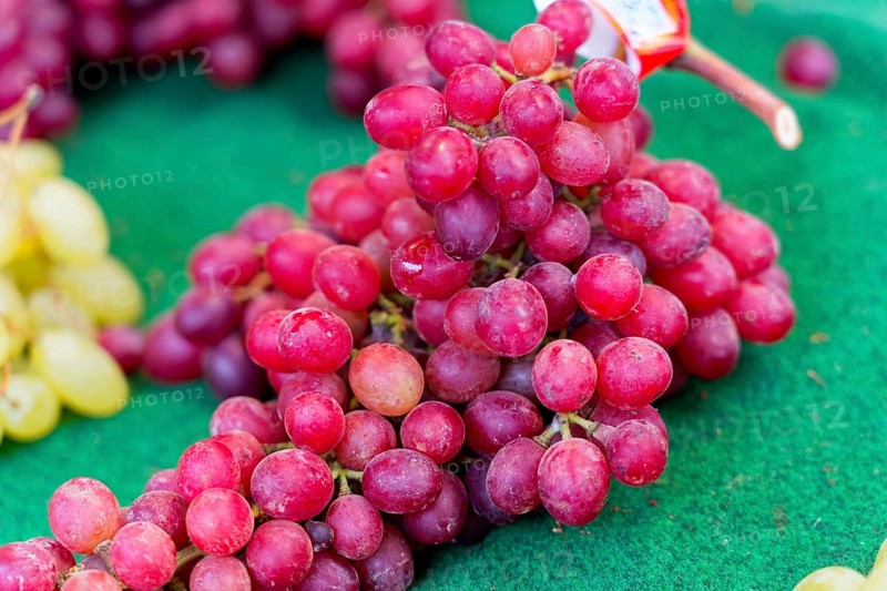 Farmer's market on the Münsterplatz, Stall, Ulm, Baden-Württemberg, Germany, Europe, Red grapes on a green background